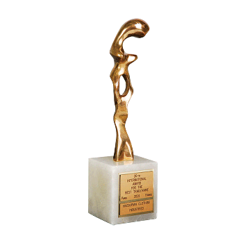 جایزه بین المللی برای بهترین نام تجاری (جایزه هزاره جدید)